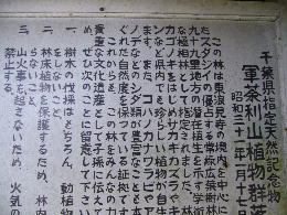 R䶗RD